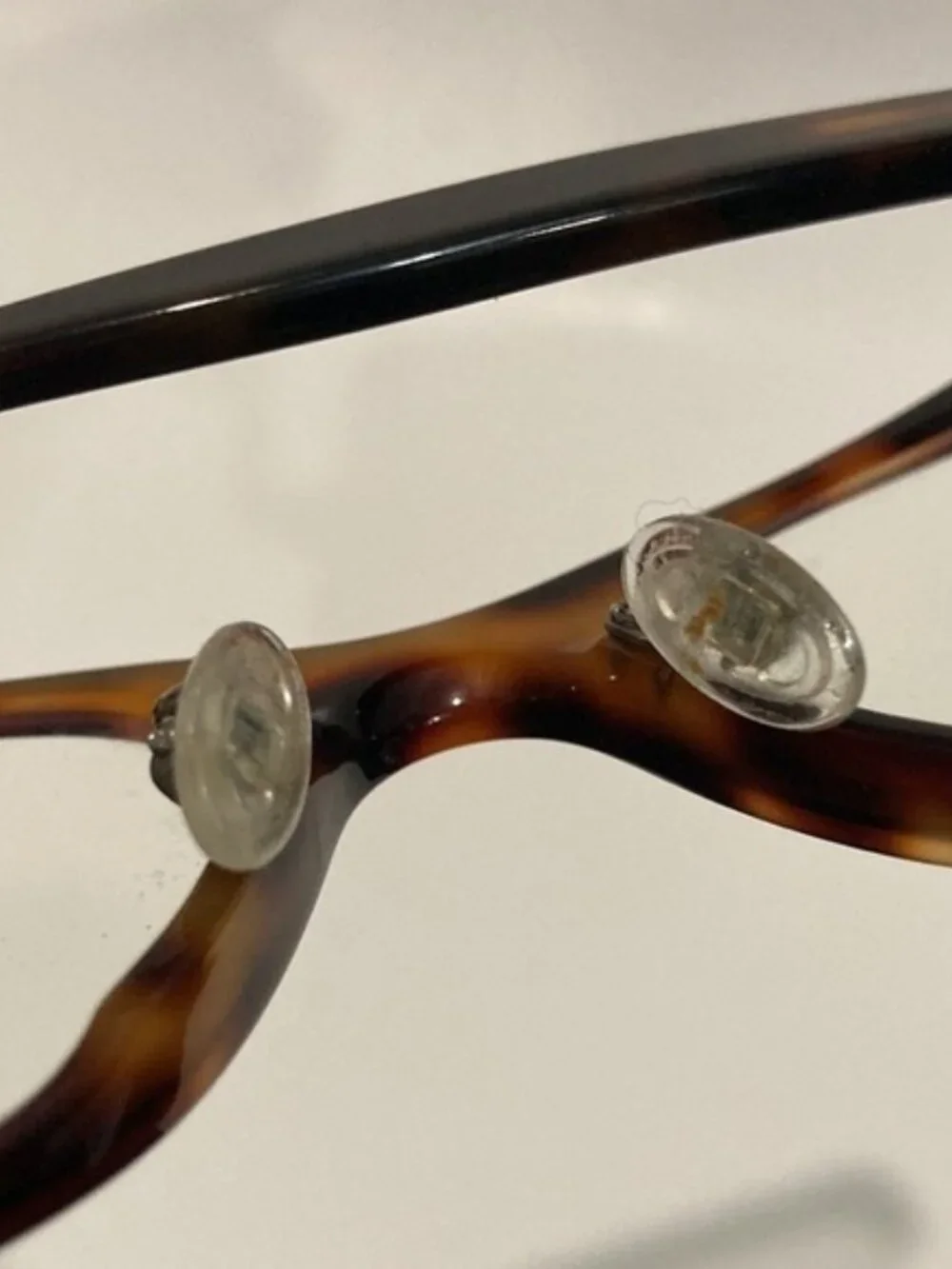 Bailey Nelson MORGAN Tortoise Glasses